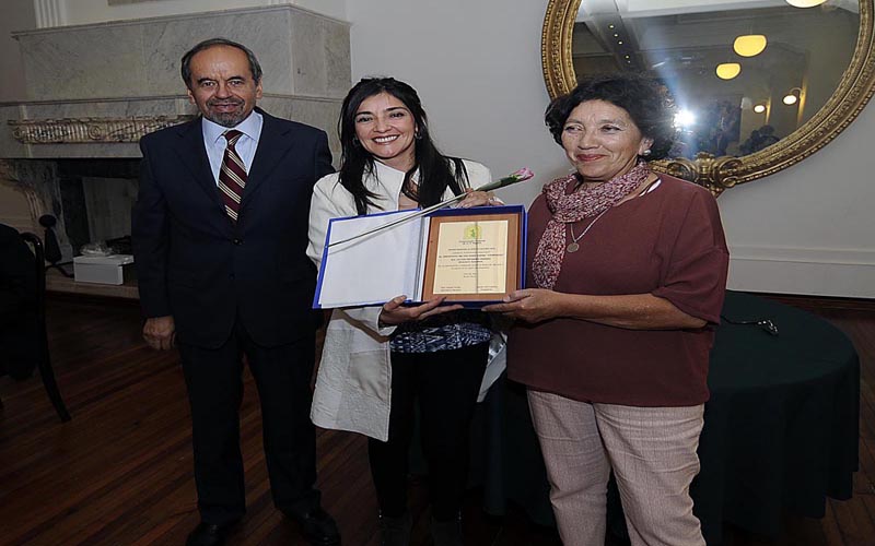 Instituto Confucio de la UST de Viña del Mar recibe Premio al Mérito Cultural 2015