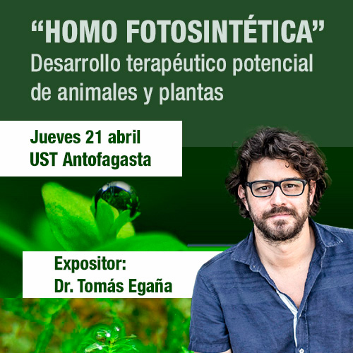 Científico explicará avances del proyecto que crea piel sintética compuesta por microalgas