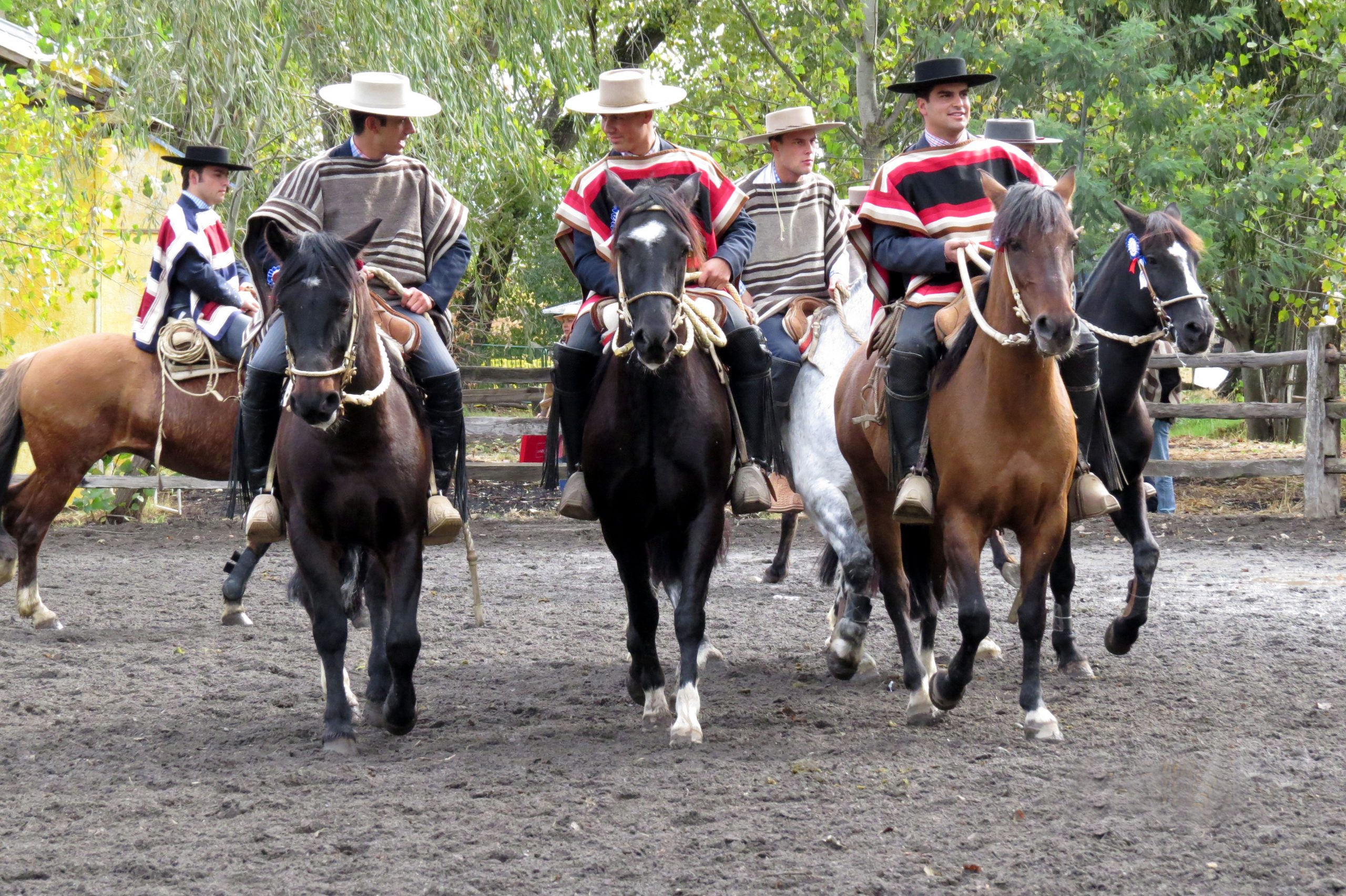 Segunda versión del Rodeo de la Amistad en Chillán