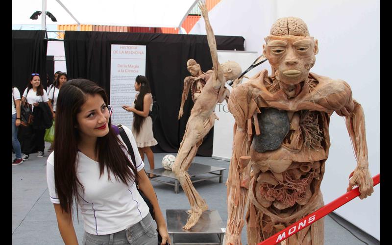 Positivo balance dejó Muestra Bodies en Antofagasta