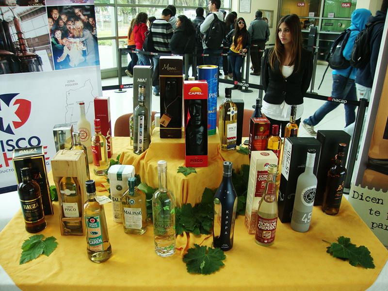 Todo listo para el Seminario del Pisco en Antofagasta