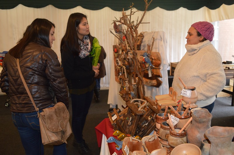 Santo Tomás Temuco recibió la llegada del We Tripantu con múltiples actividades