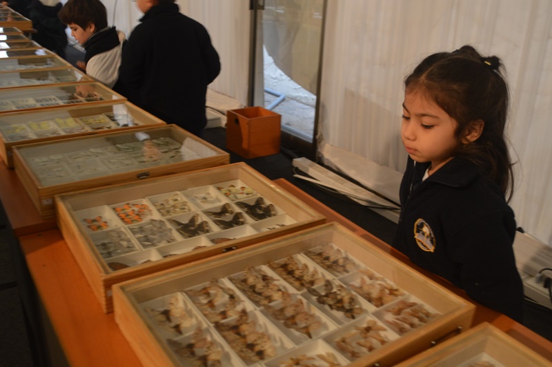 “El increíble mundo de los bichos” fascinó a grandes y pequeños en Santo Tomás Temuco