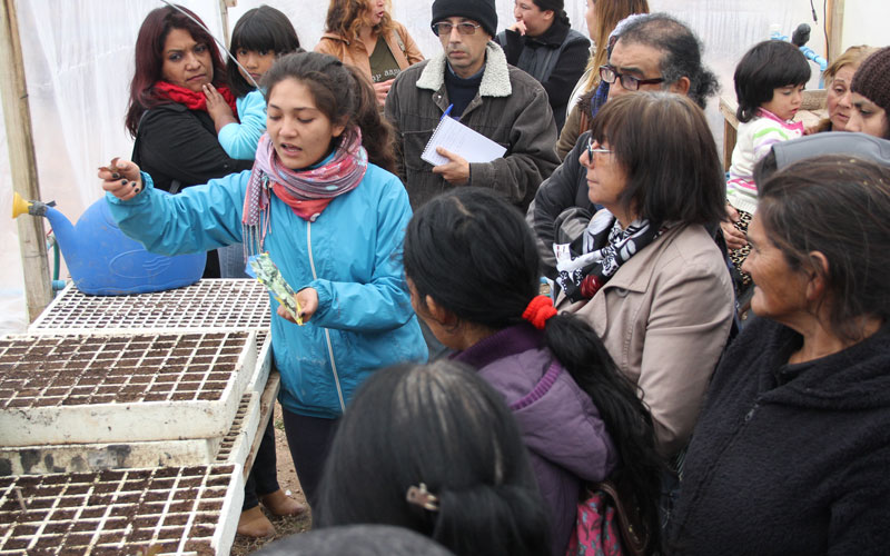 Parcela de Técnico Agrícola abrió sus puertas a familias vulnerables de La Serena
