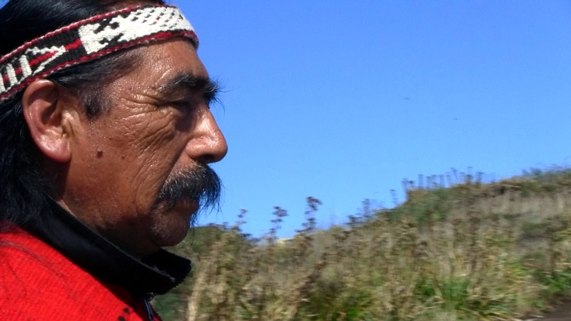 Con charla de Lorenzo Aillapán, el “Hombre Pájaro”, comienza la celebración del We Tripantu en Santo Tomás Temuco