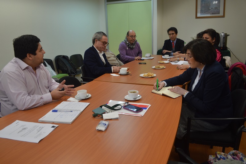 En Santo Tomás Temuco se reunió Consejo Consultivo Regional del Medioambiente