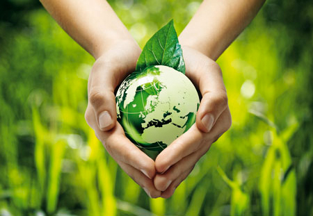 Ecología integral, en diálogo con la misericordia