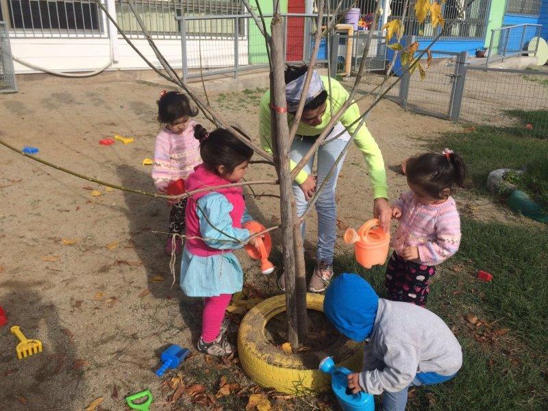 Áreas de Educación y Recursos Naturales se unen para preparar huerta infantil