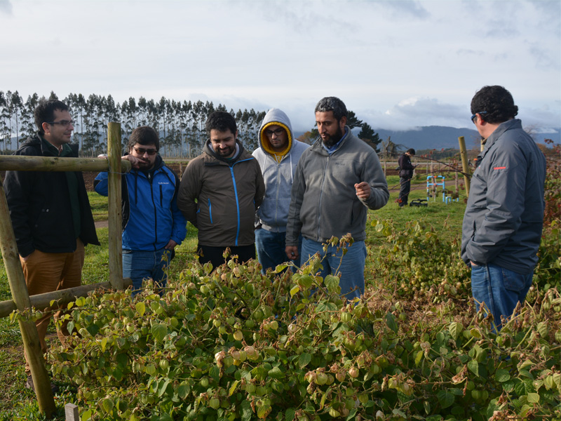 Estudiantes de Informática apoyarán proyectos de agricultura en Cañete