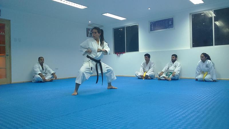 “Mi estilo de vida es ver hacia adelante, puro Karate, el “go”, el duro, el que va solo hacia adelante, si no tienes honor bajas la cabeza y sería”