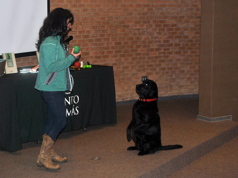 En Santo Tomás Viña del Mar se realizó taller de tenencia responsable de mascotas