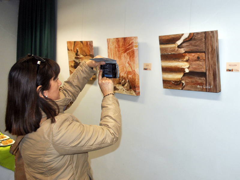 Artista Alicia Guzmán presenta “Re-Existencia” en Santo Tomás Viña del Mar