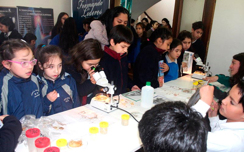 Exitoso balance tuvo la V Feria de la Ciencia y Tecnología de Santo Tomás
