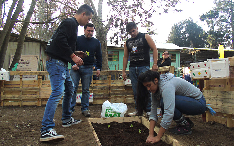 Alumnos de Santo Tomás en trabajos de invierno