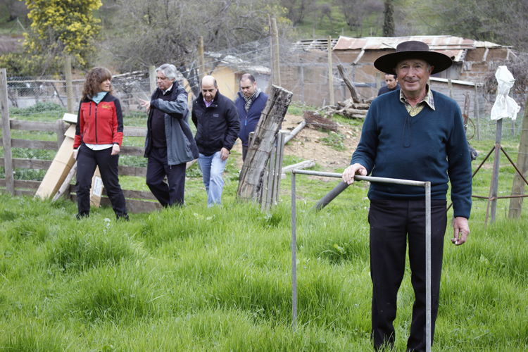Subsecretario de Agricultura conoció en terreno trabajo de Ovisnova y otras instituciones ligadas a la Red Ovina del Maule