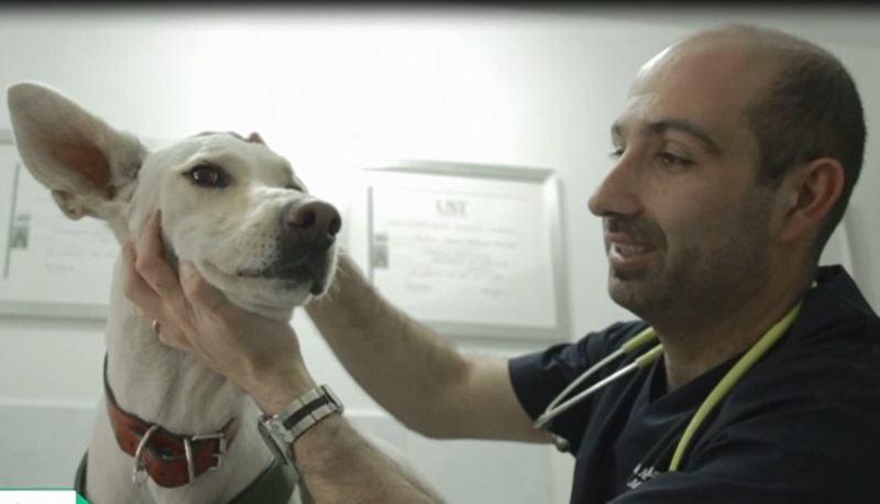 Nahum Amtmann, egresado de Medicina Veterinaria: "Destaco el lado humano de los docentes de la UST"