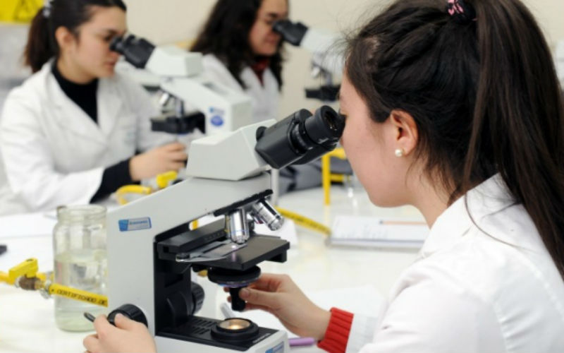 El nuevo escenario de la didáctica en la educación superior