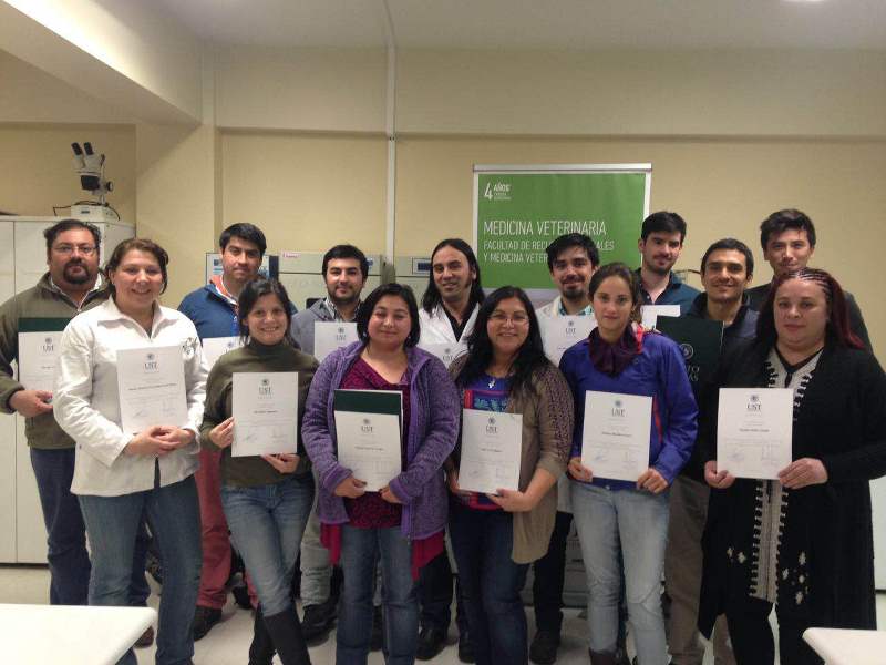 Primer curso de Triquinoscopía se desarrolló en UST Temuco
