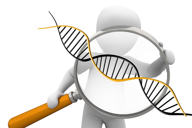 Tercera versión del Concurso de Inserción de Alumnos en Líneas de Investigación e Innovación