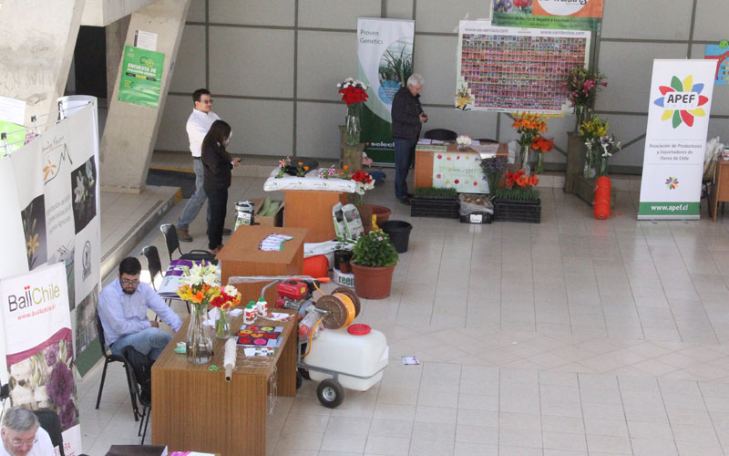 Productores de flores desarrollaron feria especializada en Santo Tomás La Serena