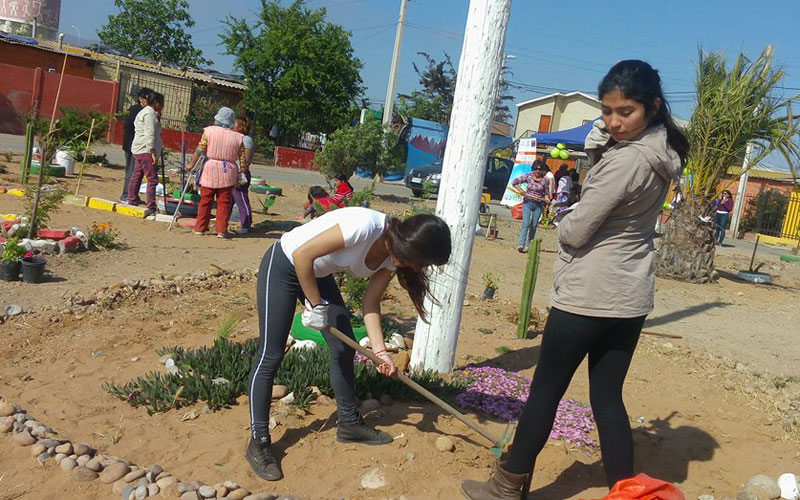 Población de La Serena recibió operativo de limpieza organizado por alumnos de Técnico en Trabajo Social