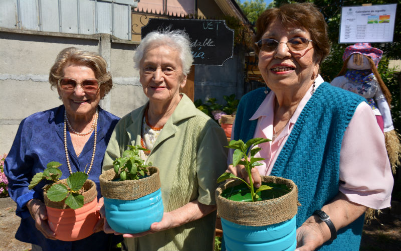 Enfermeras de la UST crean huerta saludable en hogar de adultos mayores