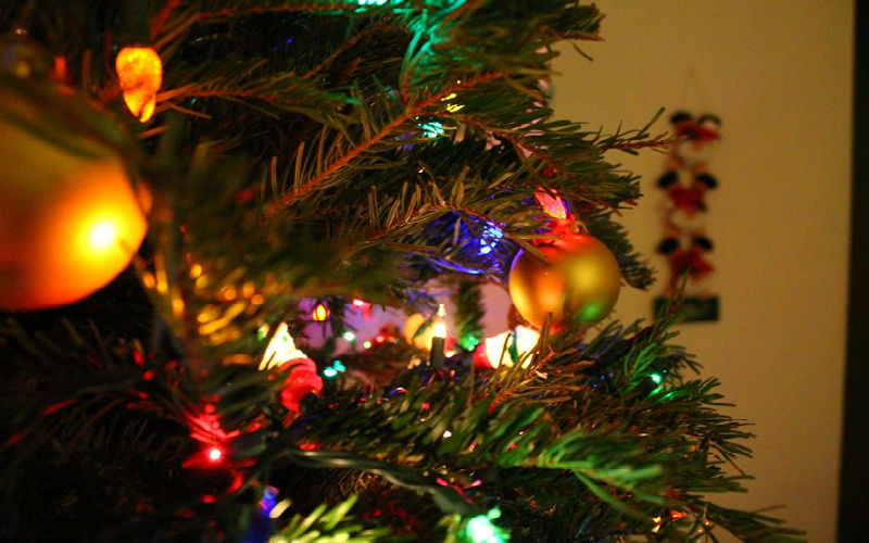 Experto advierte sobre riesgos en el hogar en Navidad
