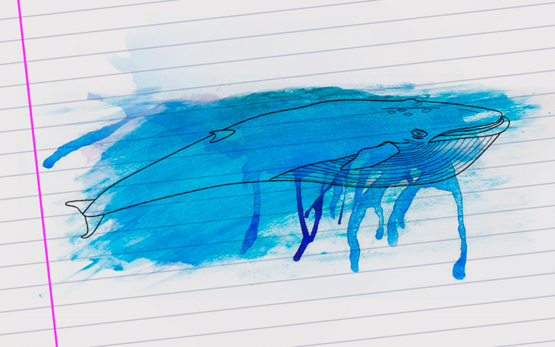 Juego "ballena azul": La mejor forma de prevenir es generando lazos de confianza con los hijos