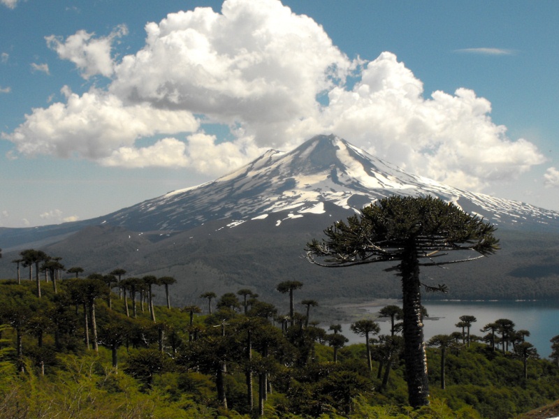 “De La Araucanía al mundo” se denominó seminario realizado en Santo Tomás Temuco