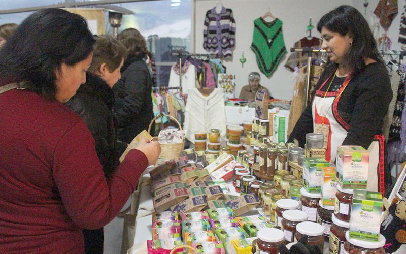 Con masiva asistencia se realizó la I Feria de Turismo Internacional de la UST Osorno
