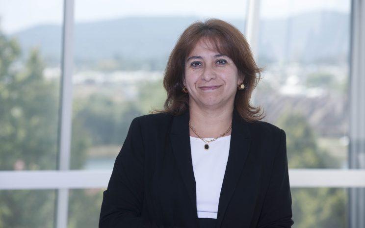 La importancia de las Prácticas Profesionales