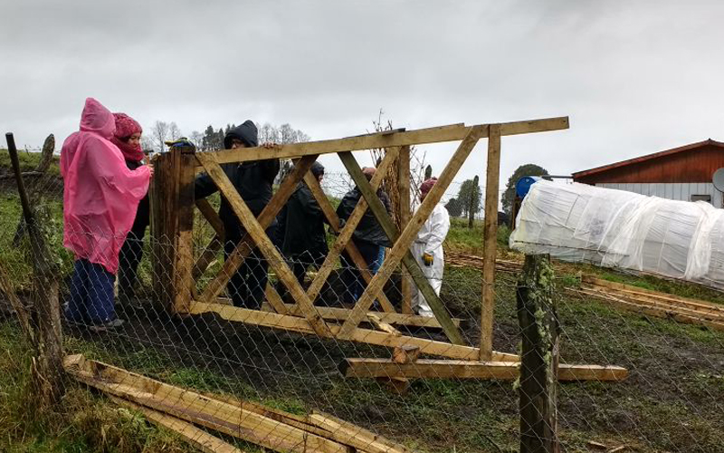 Jóvenes tomasinos aportan a la comunidad de Puyehue con los “Trabajos Voluntarios de Invierno”