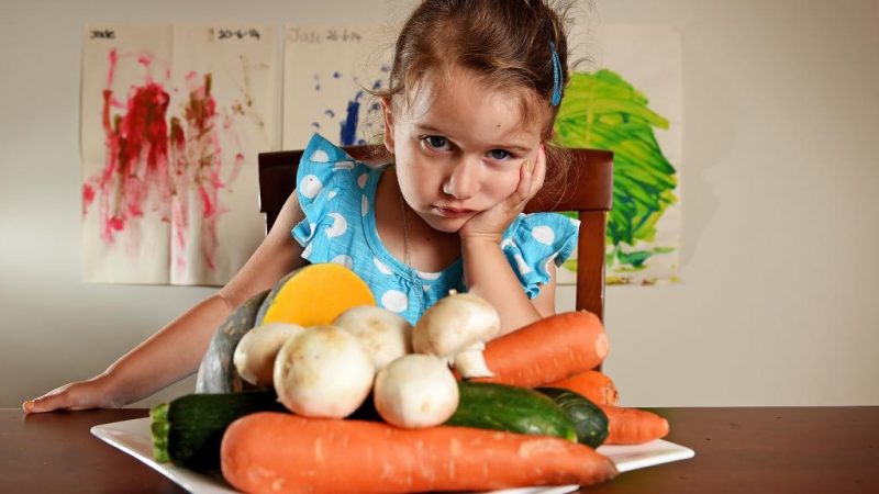 Dificultades sensoriales que afectan el proceso de alimentación en los niños