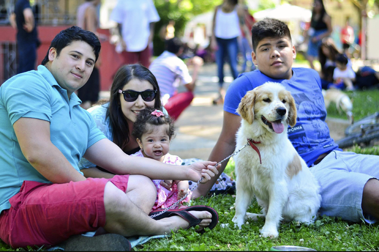 Talca será la capital de la Tenencia Responsable de Mascotas