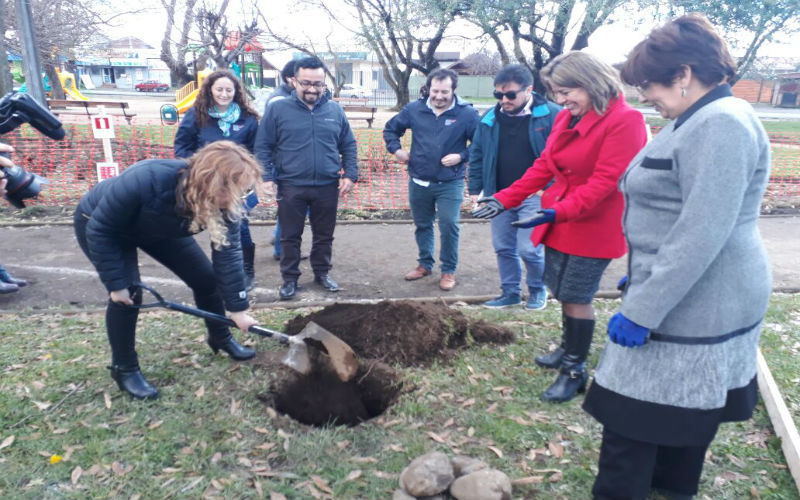 Carrera de Kinesiología UST Los Ángeles colabora en proyecto de plaza inclusiva