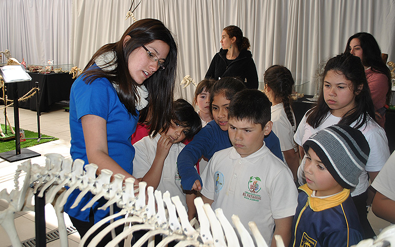 Público de todas las edades disfrutó de la exhibición “Expo Anato 2017” en Viña del Mar