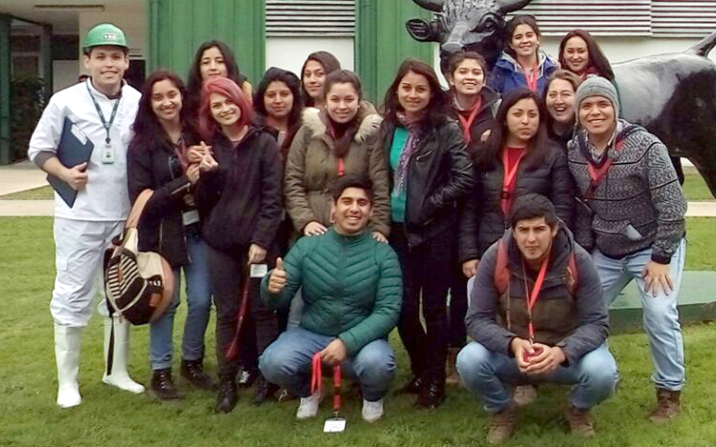 Técnico en Veterinaria y Producción Pecuaria del CFT de Santo Tomás obtiene su acreditación por cinco años