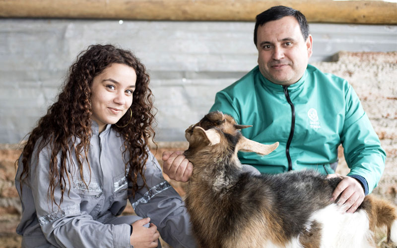 Técnico en Veterinaria y Producción Pecuaria del CFT Santo Tomás obtiene acreditación por cinco años