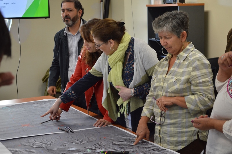 Comité Operativo de Biodiversidad de la región de La Araucanía se reúne para dialogar sobre Plan de Acción Regional de Biodiversidad en Temuco