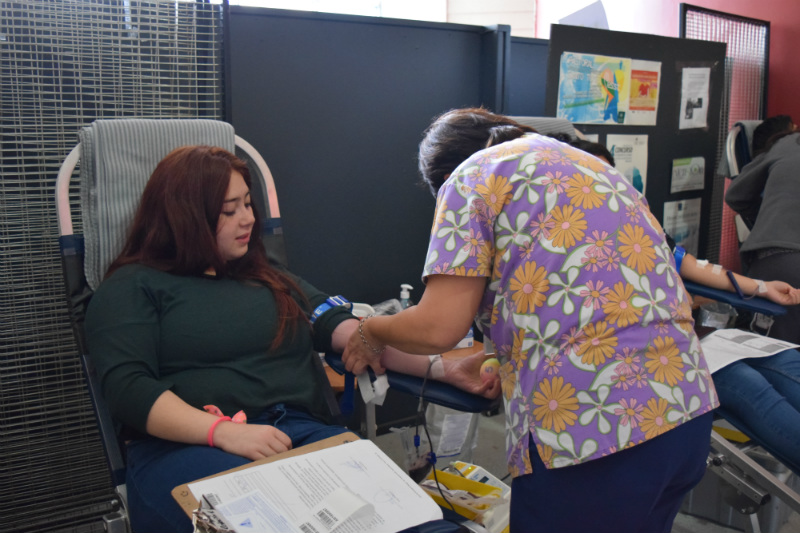 Cerca de 1000 estudiantes de Santo Tomás han donado sangre en colaboración con el Centro de Sangre Austral