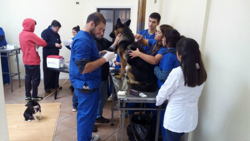 Medicina Veterinaria UST consolida su prestigio con trabajo comunitario