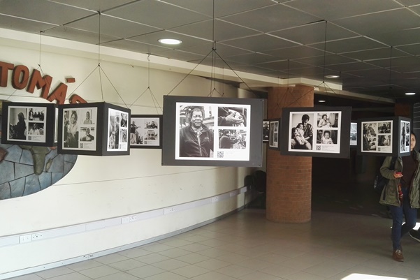 Exposición fotográfica “Amigo Extranjero” se realiza en Santo Tomás La Serena