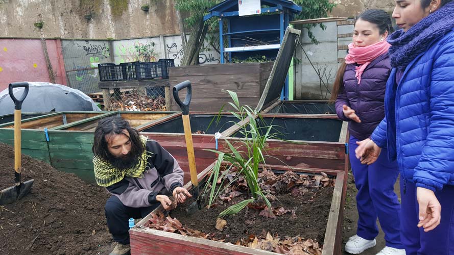 Escuela de Nutrición y Dietética de la UST Talca revive huerta saludable en Liceo de Cultura
