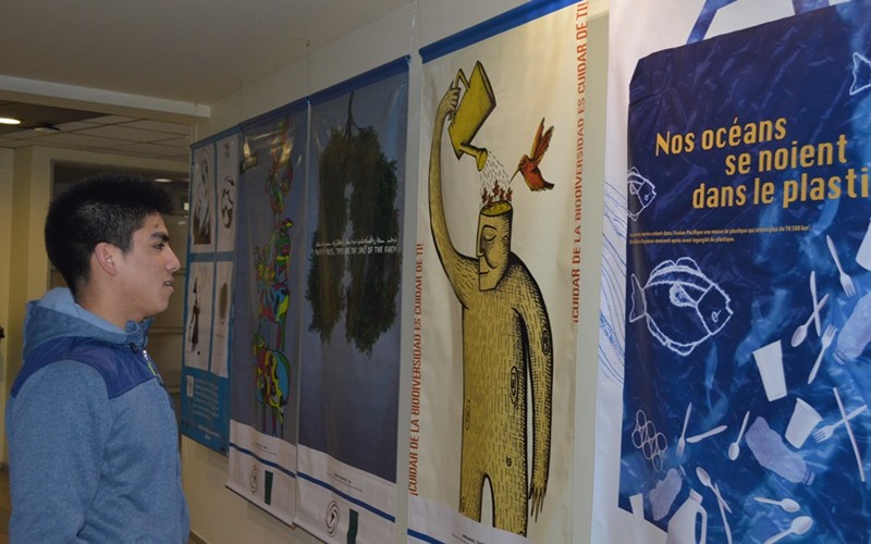 Muestra Diseño y Medio Ambiente fue protagonista en Santo Tomás en el Arte