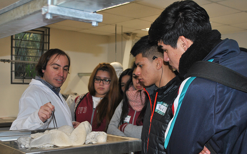 Más de 800 escolares de la Región de Valparaíso participaron en “Tomasino x1 día” de Santo Tomás Viña del Mar