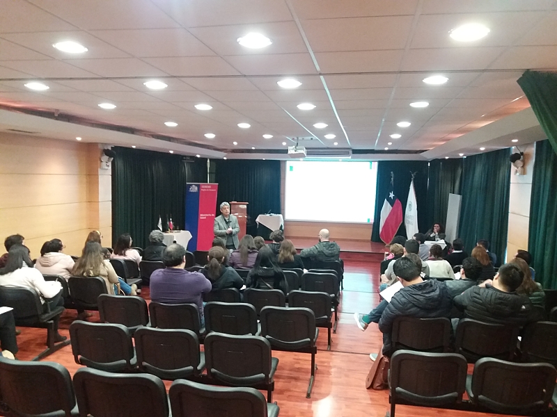 Ministerio de salud realiza taller sobre enfermedades respiratorias de carácter laboral en ust iquique