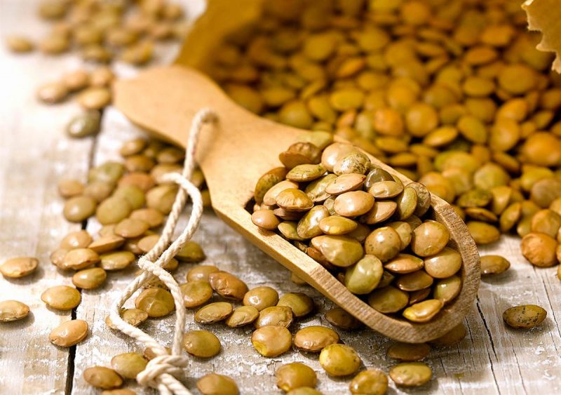 Consumo de Fibra Alimentaria podría prevenir enfermedades digestivas