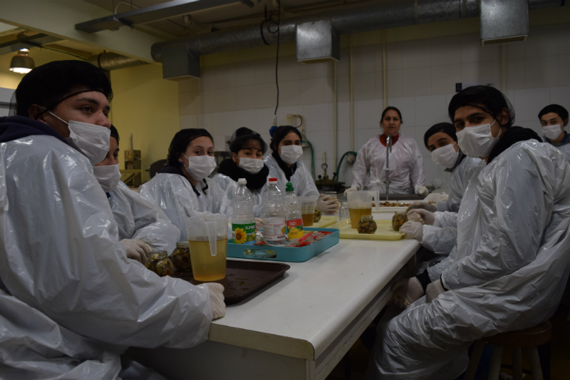 Estudiantes técnicos perfeccionan sus conocimientos en la elaboración de conservas