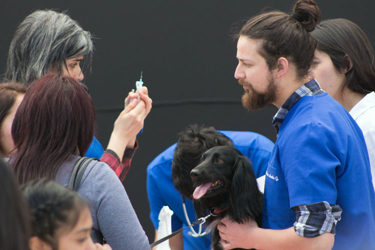 Santo Tomás Talca comprometido con las mascotas y la comunidad maulina