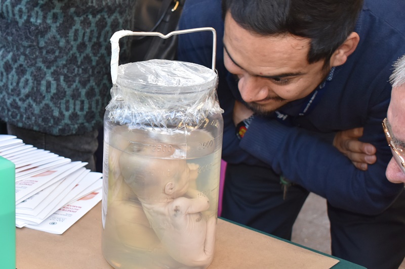 Tomasinos se sumaron a Feria Científica en La Reina